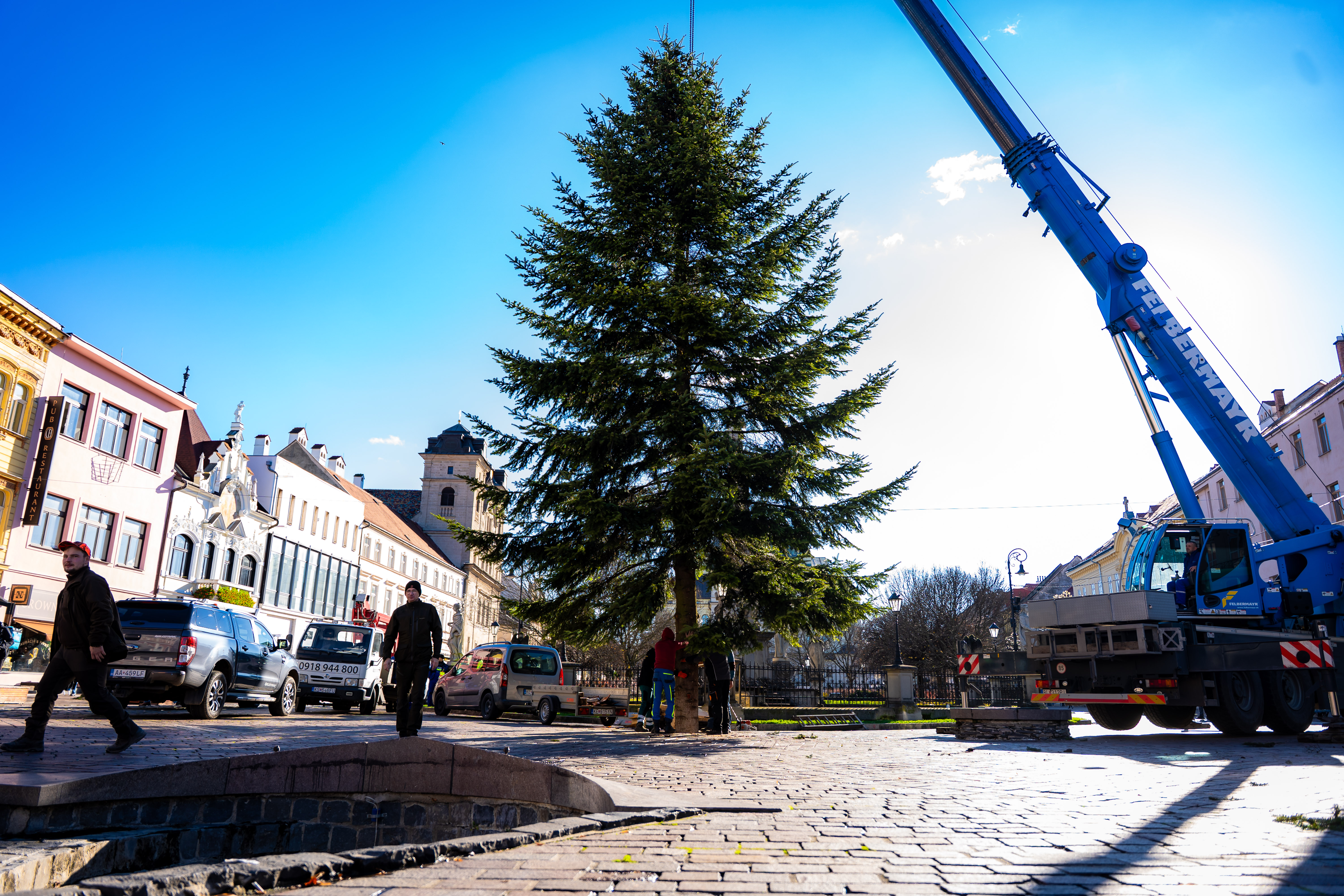 Umiestnovanie Vianocneho stromu-35